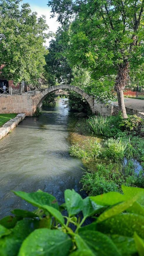 Апартаменты Aromas Del Jiloca, La Trufa Negra Каламоча Экстерьер фото
